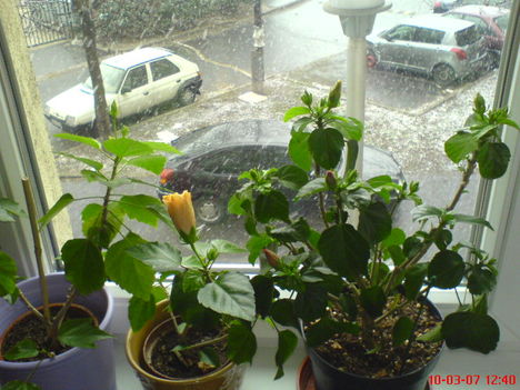 DSC01282