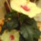 DSC01282 (1)