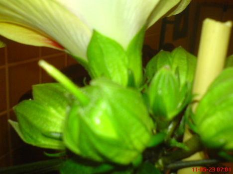 DSC01285