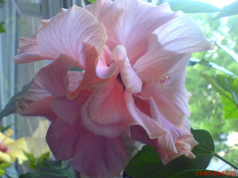 DSC01286