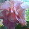 DSC01286