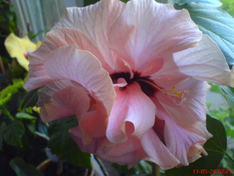 DSC01287