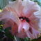 DSC01287