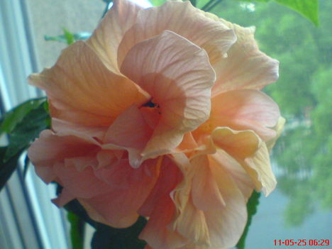 DSC01288