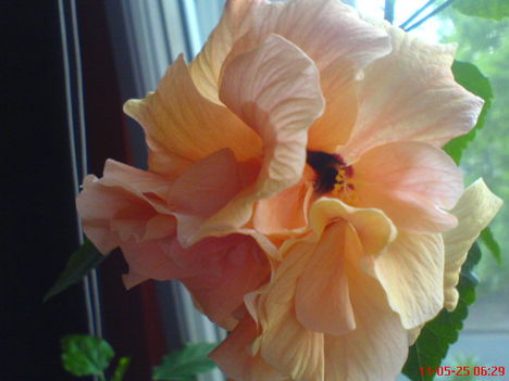 DSC01289