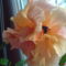 DSC01289