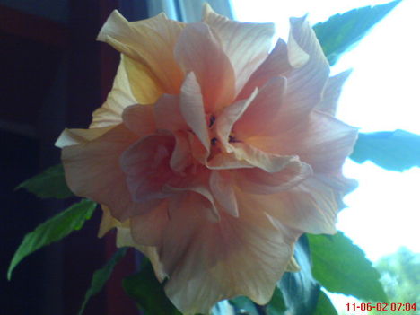 DSC01290
