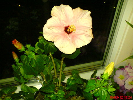 DSC01291