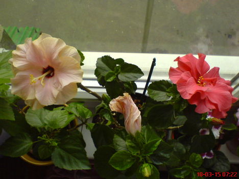 DSC01292