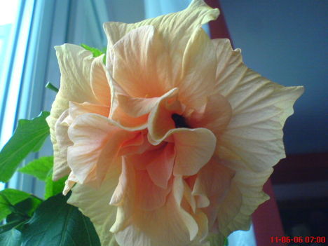 DSC01292 (1)