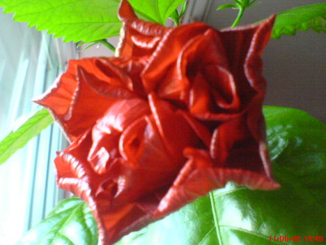 DSC01294