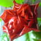 DSC01294