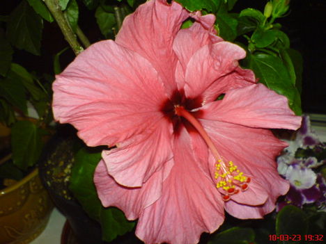 DSC01295