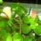 DSC01297