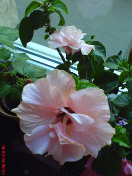 DSC01298