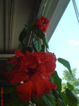 DSC01300