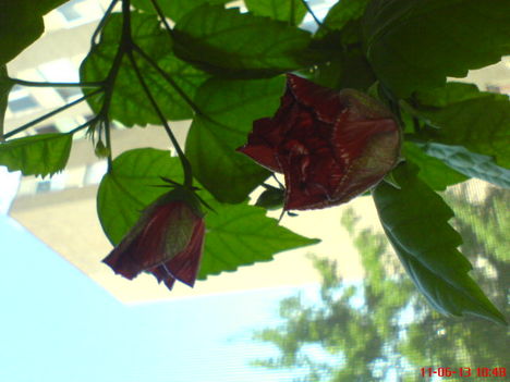 DSC01301