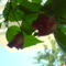DSC01301