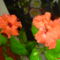 DSC01302