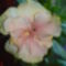 DSC01306