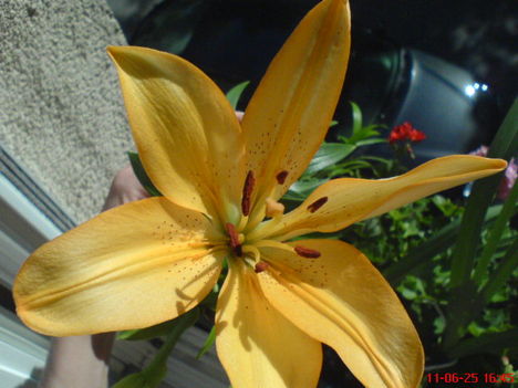 DSC01321