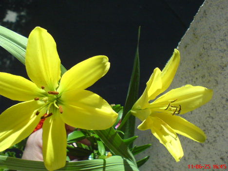 DSC01324