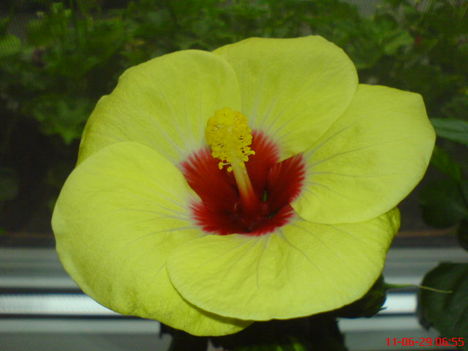 DSC01325