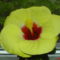 DSC01325