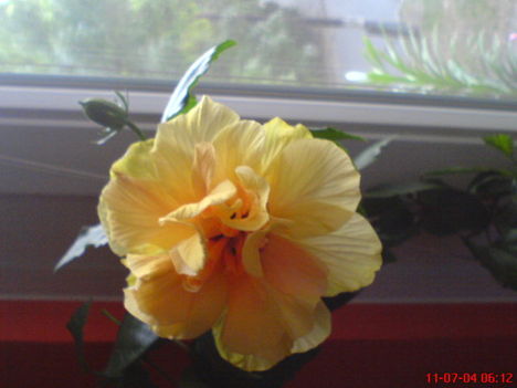 DSC01332