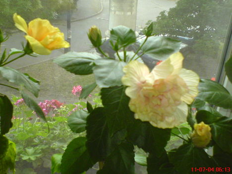 DSC01333