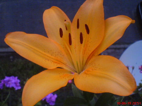DSC01449