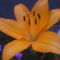 DSC01449
