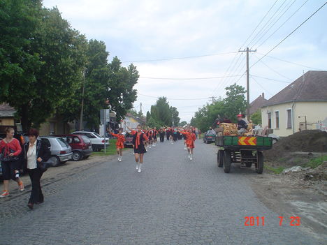 Duna nap 2011..