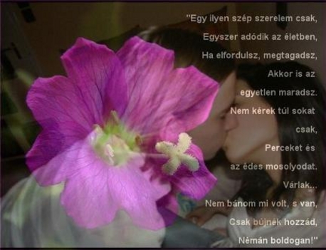 Egy ilyen