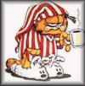 garfield2