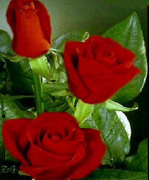 image001