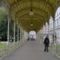 Karlovy Vary 2010.  Kép 121