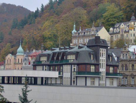 Karlovy Vary 2010.  Kép 196