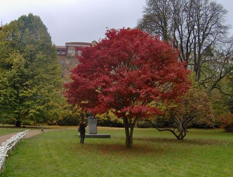 Karlovy Vary 2010. Kép 117