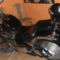 SAM_5174