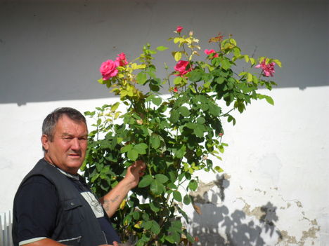 testvéreimmel 5