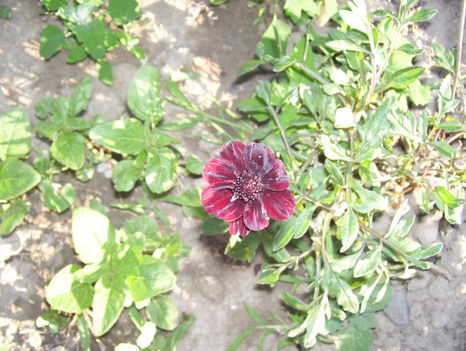 2011.06