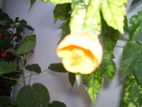 2011.06