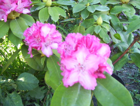 2011.06
