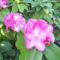 2011.06