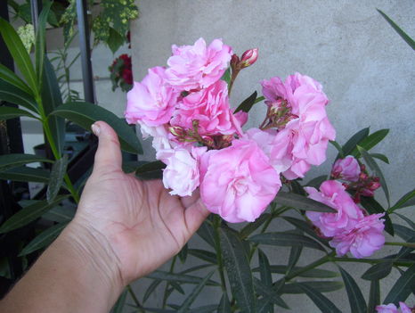 2011.06