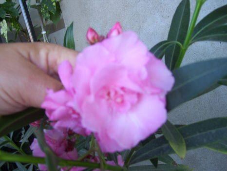 2011.06