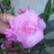 2011.06