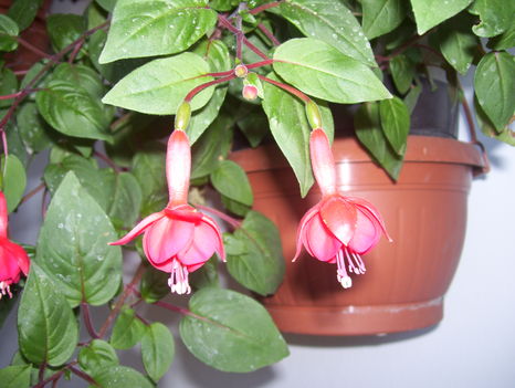 2011.06