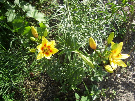 2011.06